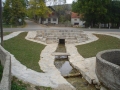 svekar (6)